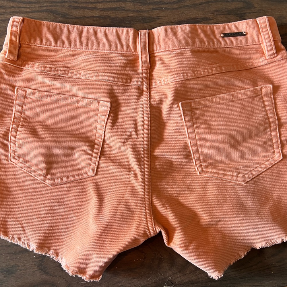 Carve Designs Peach Women Shorts